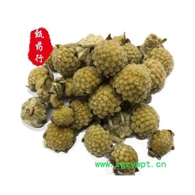 绿萝花 西藏绿萝花选货 1公斤装