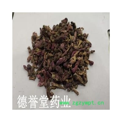 款冬花 选 冬花 产地 甘肃省 批发各种中药材