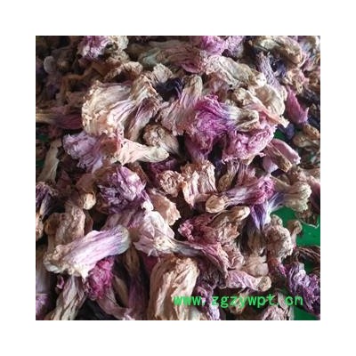 新辉药业优质蜀季花  吴葵花 侧金盏  棋盘花 木槿花