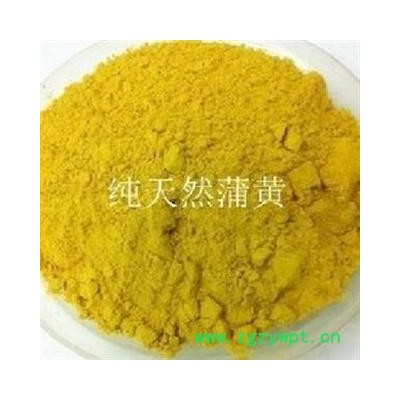 蒲黄正品好货 产地 河北省