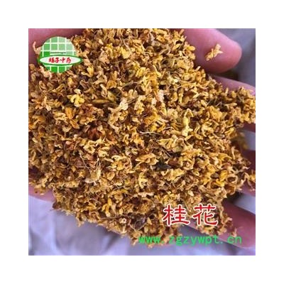 桂花 桂花选货茶用级别 产地 安徽省 买好药找娟子