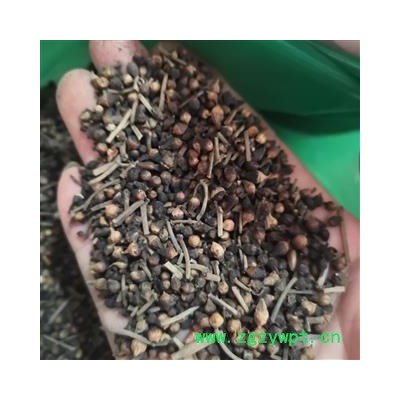 新辉药业水翁花  水雍花  大蛇药