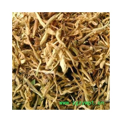 金银花  金银花开花统货 产地 河南省