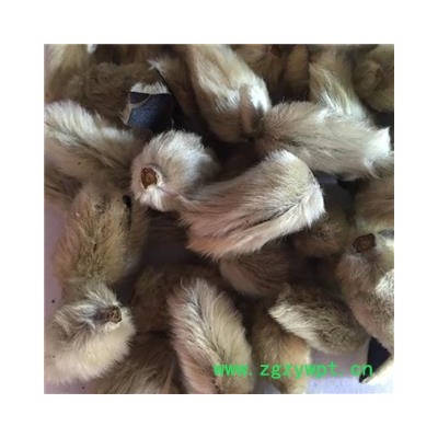 新辉药业正品无柄辛夷花 优质花茶