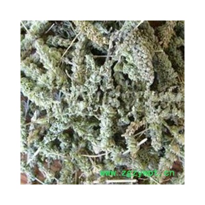 荆芥穗 荆芥穗统货 产地 河北省