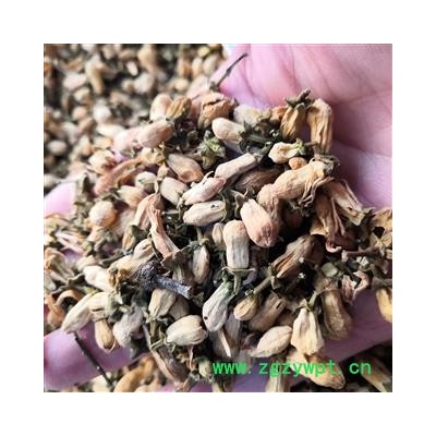 新辉药业玳玳花 优质新货