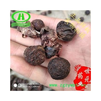 世元药业 白梅肉 霜梅肉机器烘干 现加工【全品除尘中药】