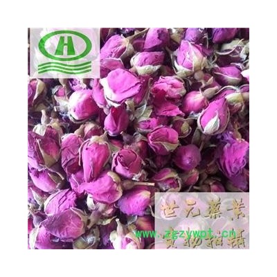 世元药业 月季花大花 正品山东改良大花 茶饮 烘干香味浓郁 月月红 月月花 长春花 四季花 胜春