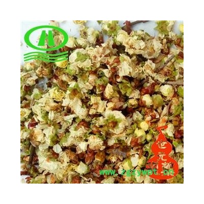 世元药业 白梅花 正品 绿萼梅 緑萼梅 绿梅花