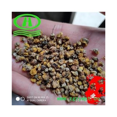 世元药业 野菊花 正品 精品 山菊花 千层菊 黄菊花【全品除尘中药】