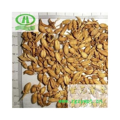 世元药业 佛手花 正品 佛柑花 新货