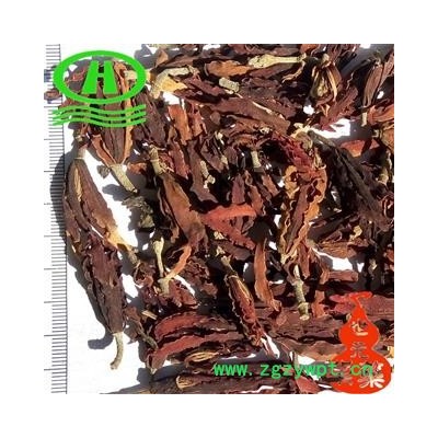 世元药业 白玉兰 白玉花 玉兰花 正品 红玉兰 木兰 玉兰花 望春 应春花 玉堂春