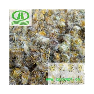 世元药业 旋复花 正品 别称-旋覆花 驴儿草 百叶草 金钱花 猫耳朵花