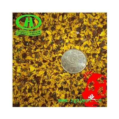 世元药业 雪菊 昆仑雪菊 茶饮极品 新货 烘干 双色金鸡菊 清三高花 两色金鸡菊 古丽恰尔 血菊