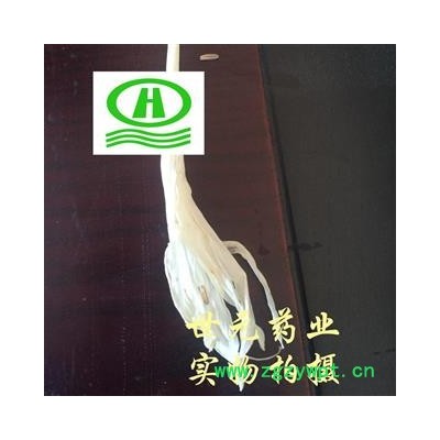 世元药业 玉簪花 正品新货 玉春棒 白鹤花 白鹤仙 白玉簪