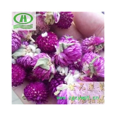 世元药业 千日红 红巧梅 茶饮一级 别称-火球花 百日红