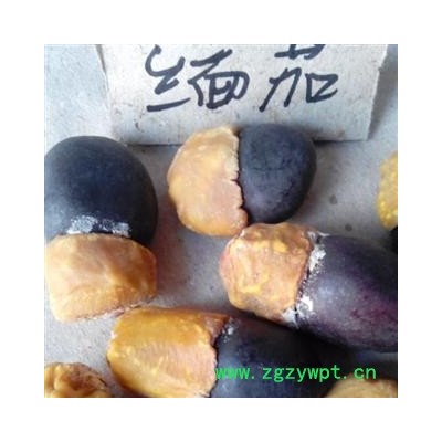 世元药业 缅茄 菩提子 正品 优质 批发 按个卖1.2/个 免费打眼 工艺品