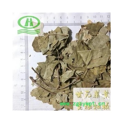 世元药业 丁香叶 正品 紫丁香叶 药用非调料香叶 绝非石楠叶