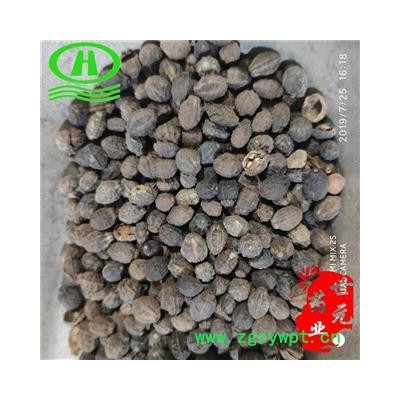 世元药业 茉莉花子 正品0.5kg/包 茉莉花籽 小地雷 小南强 柰花 木梨