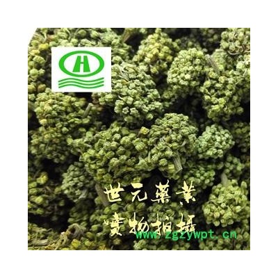 世元药业 三七花 正品 无污染 山漆花 金不换花【全品除尘中药】