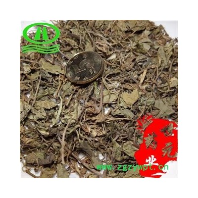 世元药业 满天星 正品 天胡荽 步地锦 鸡肠菜 破钱草 千光草 铺地锦 肺风草 落地金钱 镜面草 遍地金 克麻藤 地钱草 野芹菜