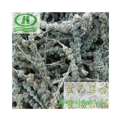 世元药业 荆芥穗 芥穗 正品 香荆荠 线荠 四棱杆蒿 假苏