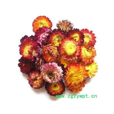 菊花 七彩菊 选装货 代加工超细粉 产地 河南省安阳市安阳县