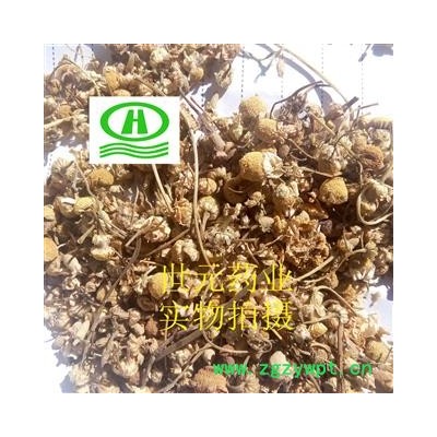 世元药业 洋甘菊 天然 正品 优质 罗马洋甘菊 德国洋甘菊【全品除尘中药】