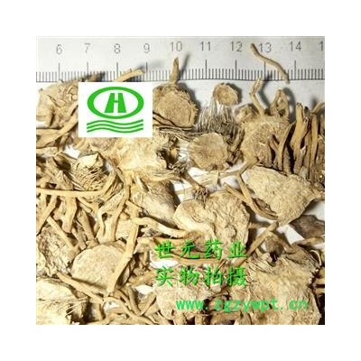 世元药业 玉簪花根 正品 别称 白玉簪  玉春棒 白鹤花 玉泡花