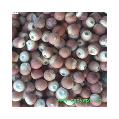 芡实 精选芡实个 产地 广东省