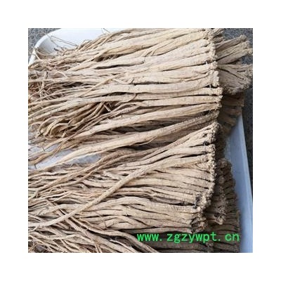 党参 党参中条 产地 甘肃省陇南市