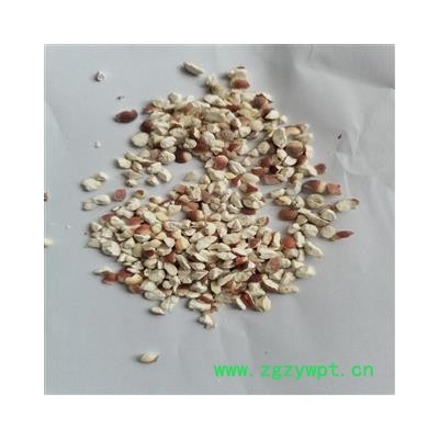 芡实 大46半 产地 广东省珠海市