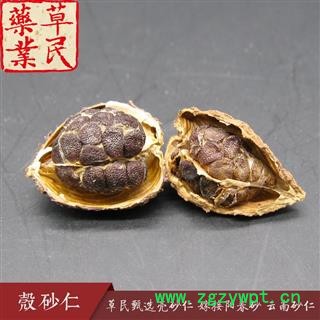 草民甄选壳砂仁 嫁接阳春砂 云南砂仁 含量达标 专业批发量大从优