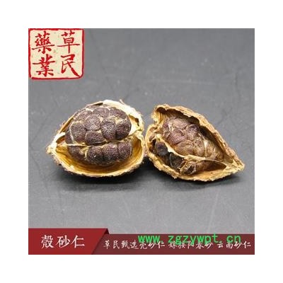 草民甄选壳砂仁 嫁接阳春砂 云南砂仁 含量达标 专业批发量大从优