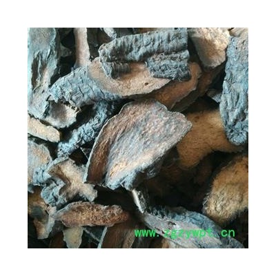 硬肉苁蓉肉苁蓉 硬质，大云，保证质量 货真价实，