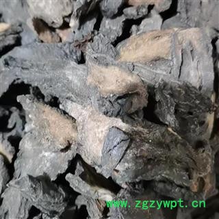 肉苁蓉 硬大芸选片3.0 产地 新疆维吾尔自治区