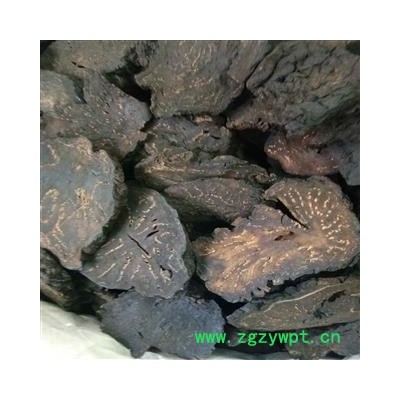 肉苁蓉 硬质大云片 产地 新疆维吾尔自治区