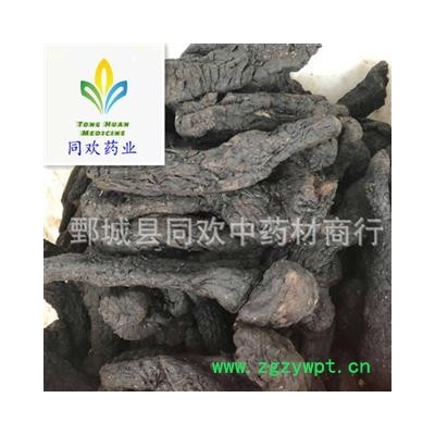 【大个软肉苁蓉】@【同欢药材】中药材批发供应  规格齐全 量大从优  产地 新疆维吾尔自治区