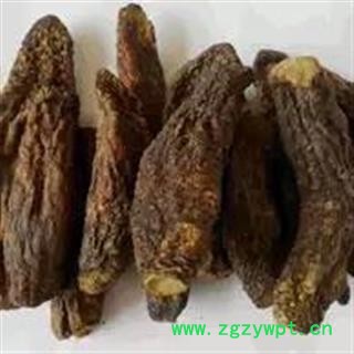 肉苁蓉 统 产地 新疆维吾尔自治区