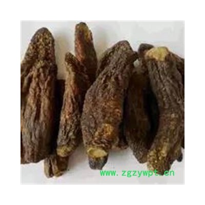 肉苁蓉 统 产地 新疆维吾尔自治区