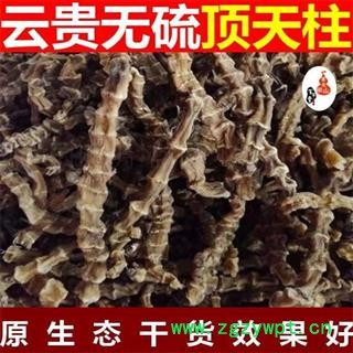 顶天柱 阳鞭劲 地参 虫草参 地龙菜 泽兰根 雪参 贵州野生苗药 泡酒料 500g 顶天柱 阳鞭劲 地参 虫草参 地龙菜 泽兰根 雪参 贵州野生苗药 泡酒料 500g