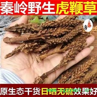 虎鞭草 子孙草 回春草 顶天柱 泡酒500g 虎鞭草 子孙草 回春草 顶天柱 泡酒500g