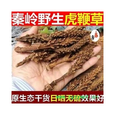 虎鞭草 子孙草 回春草 顶天柱 泡酒500g