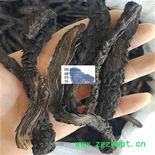 肉苁蓉 软大云 软质 净货 新货 干度好 颜色好 国峰药业 重在品质 产地 新疆维吾尔自治区