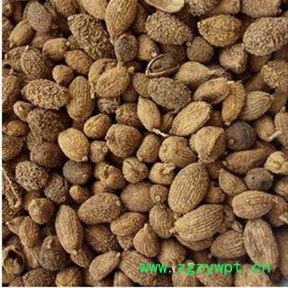 砂仁 统 产地 海外