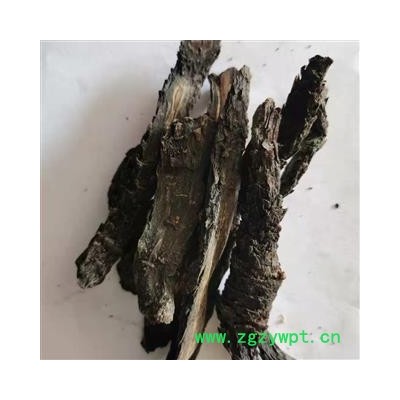 肉苁蓉 软大芸统片 产地 新疆维吾尔自治区
