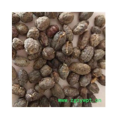 进口砂仁   净货  进口砂仁选货 产地 海南省