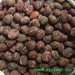 【录建药业】砂仁 进口砂仁米 产地 海外