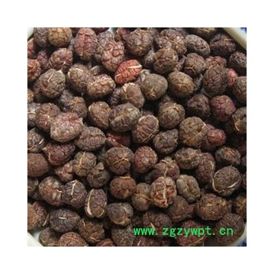 【录建药业】砂仁 进口砂仁米 产地 海外
