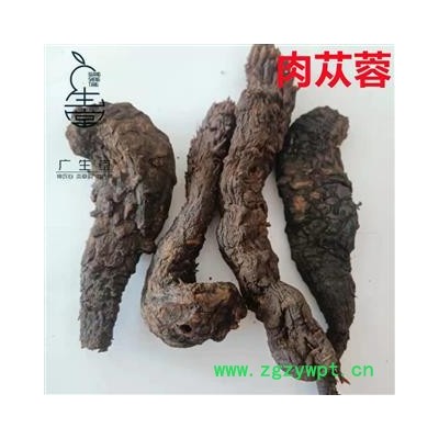 中药材批发 大云 肉苁蓉 软大个 产地直销各种中药材